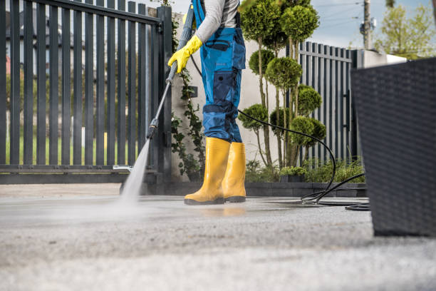 Best Residential House Exterior Washing  in Buffalo Grove, IL